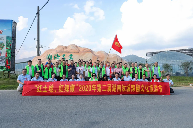 湘汝之声：记录辣椒节里数亿成交前后的精彩瞬间（视频）！