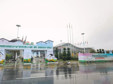 走，带你去看湘汝百亩辣椒育苗基地