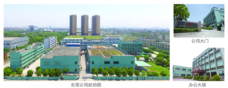 东莞公司.jpg