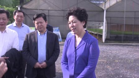 领导关怀-省委副书记乌兰视查湘汝